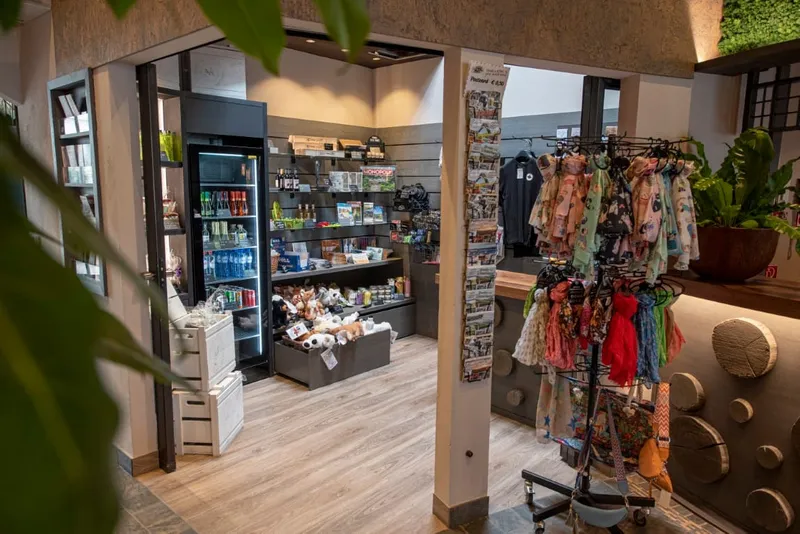 Souvenirs mee naar huis?-image