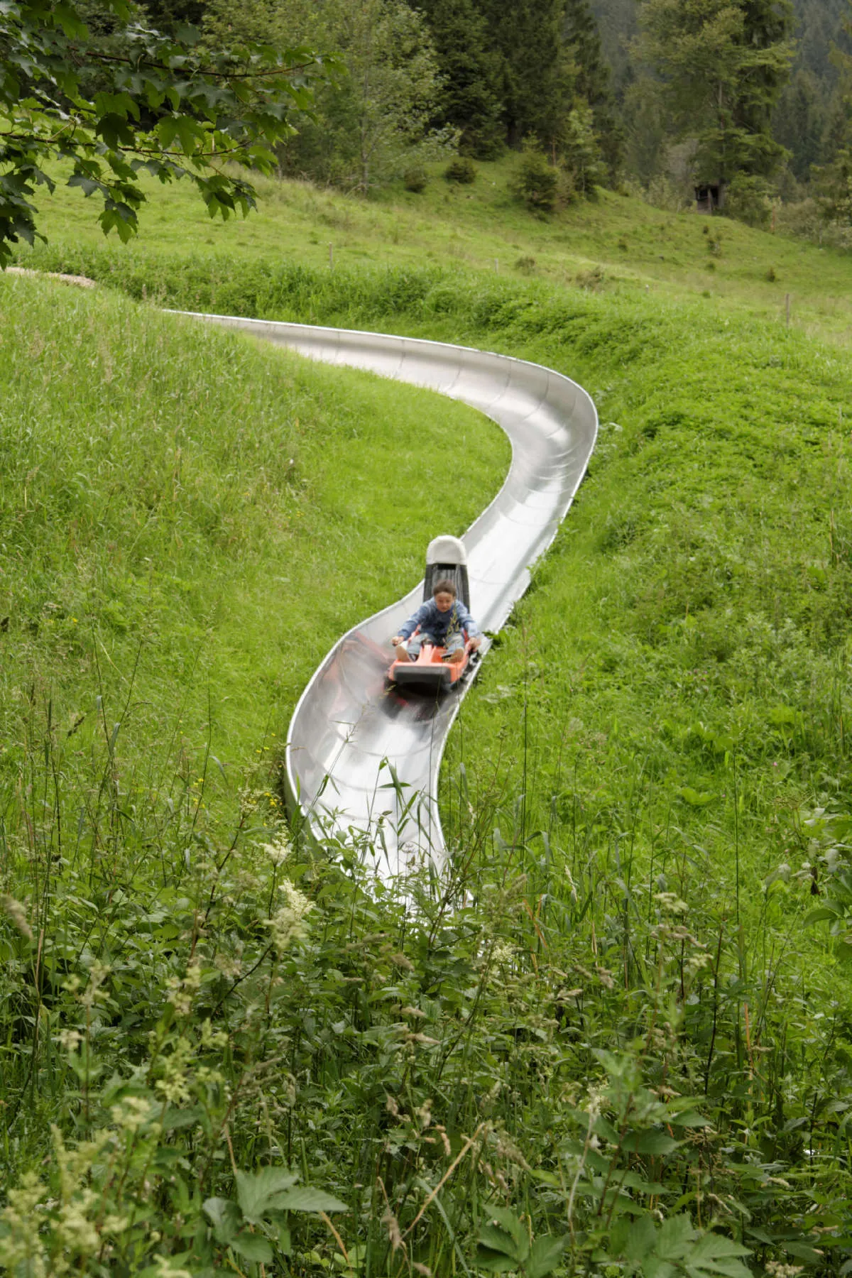 Rodellen-image