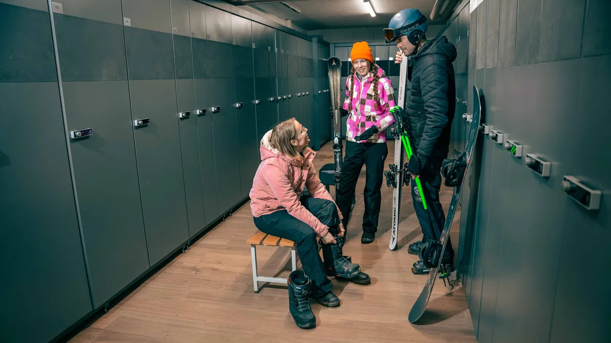 Skiberging-image