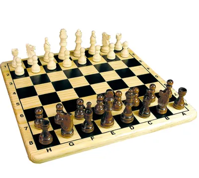 Zin om te schaken?-image