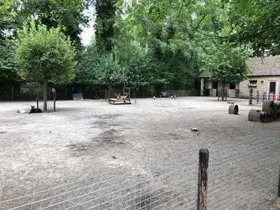 Dierenweide-image