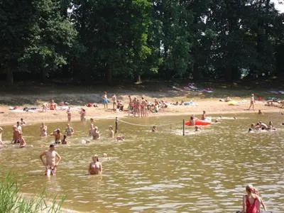 Natuur heidepark-image