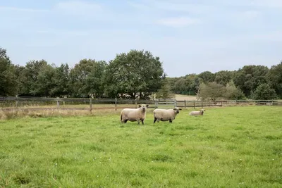 Agenda evenementen-image