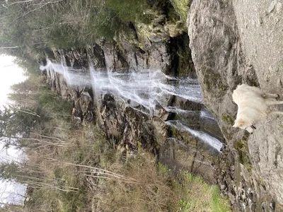 Wandelen in de omgeving-image