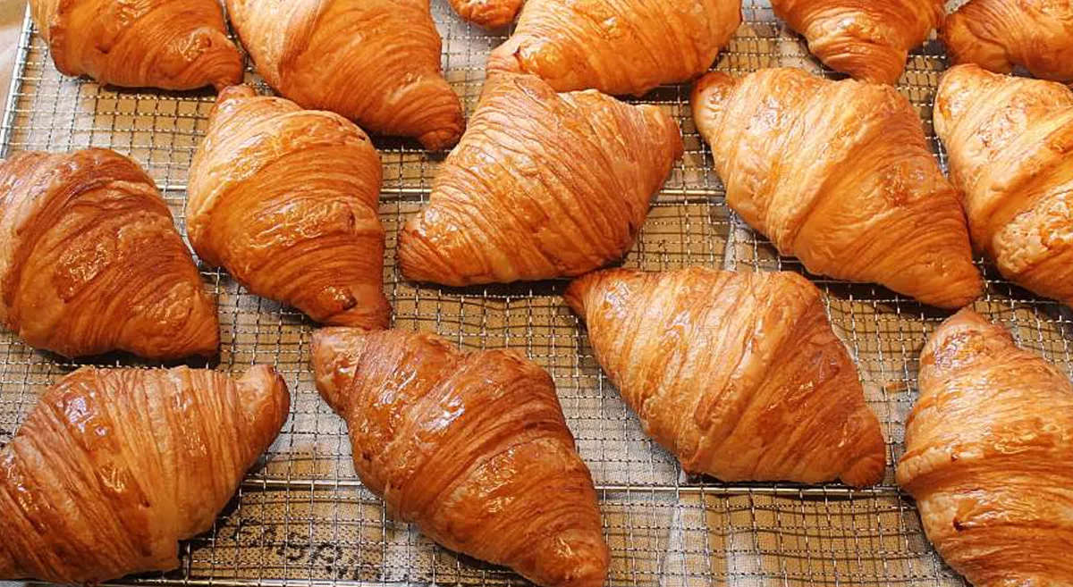 Gebruiks instructie oven-image