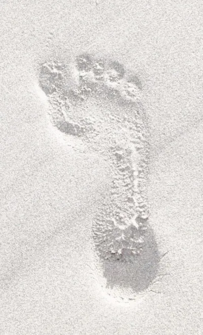 WANDEL ROUTES -image