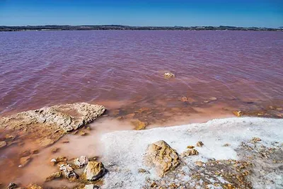 Tips and things to do in Torrevieja-image