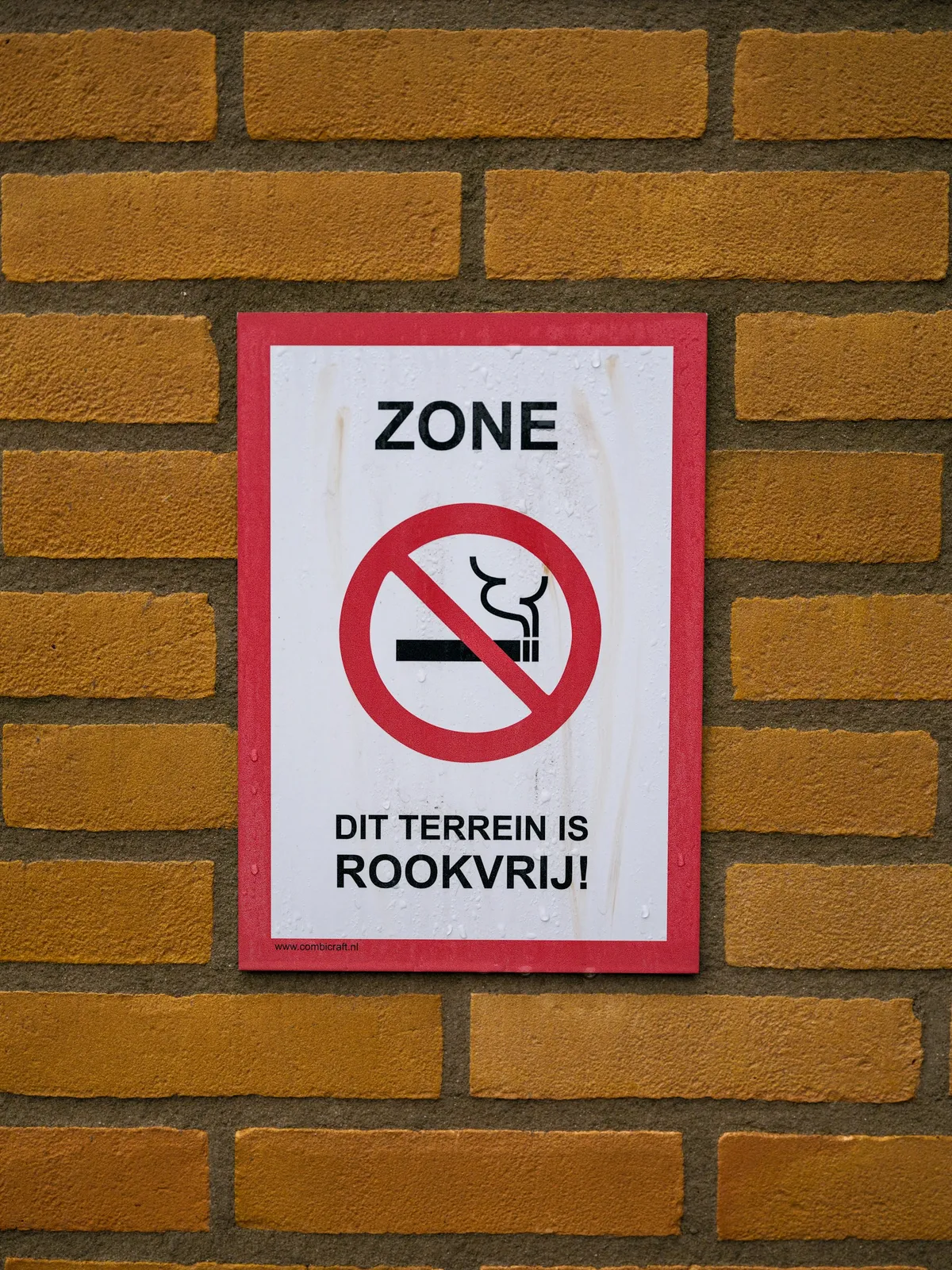 Rookvrij-image