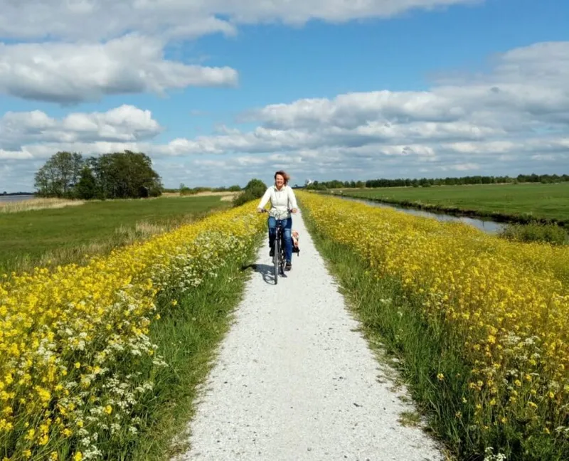 Fietsroutes Grou-image