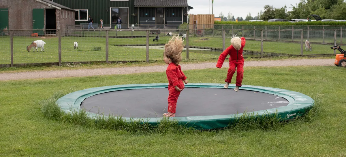 Dagje boerderij-image