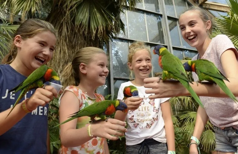 Vogelpark Avifauna-image