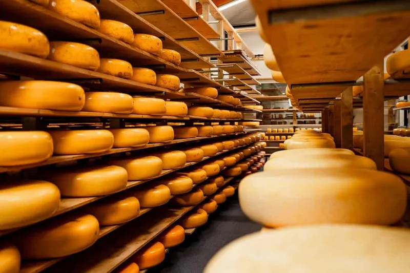 Tips voor dagje uit-image