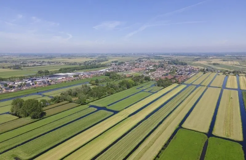 Uit in de Krimpenerwaard-image