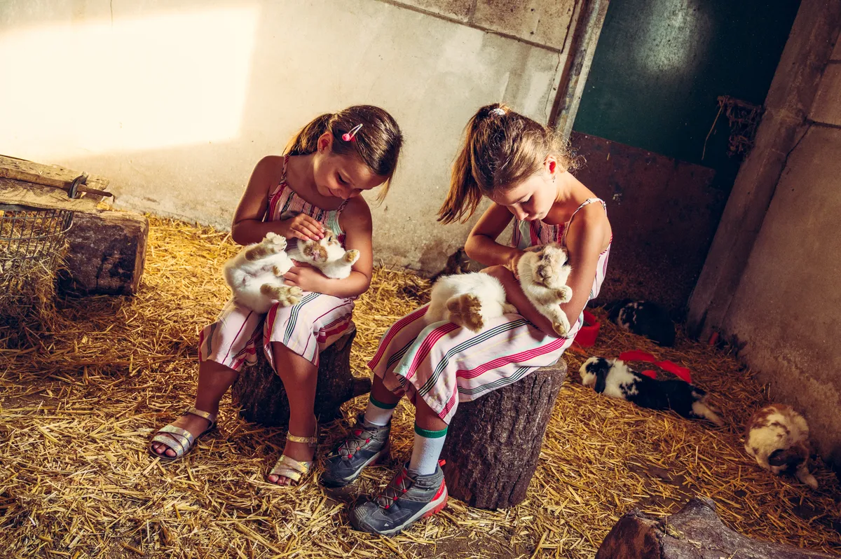 Regels dierenwelzijn-image