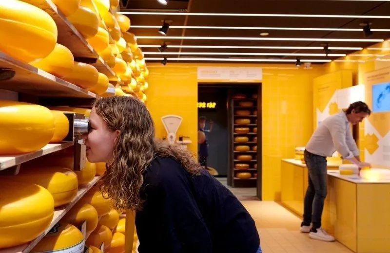 Gouda Cheese Experience-image