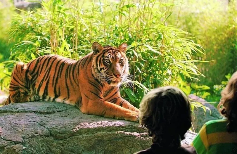 Diergaarde Blijdorp-image