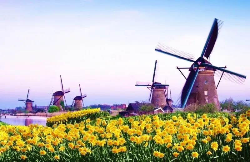 Kinderdijk Molens-image
