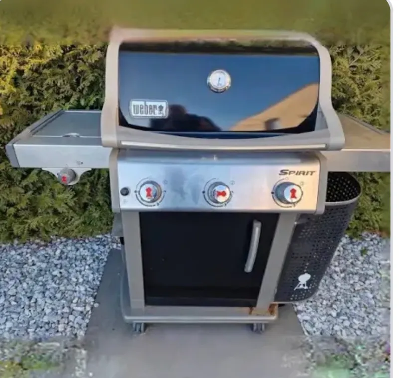 Gasbarbecue-image