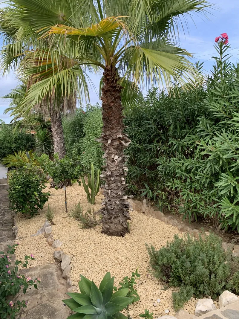 Onderhoud tuin en zwembad-image