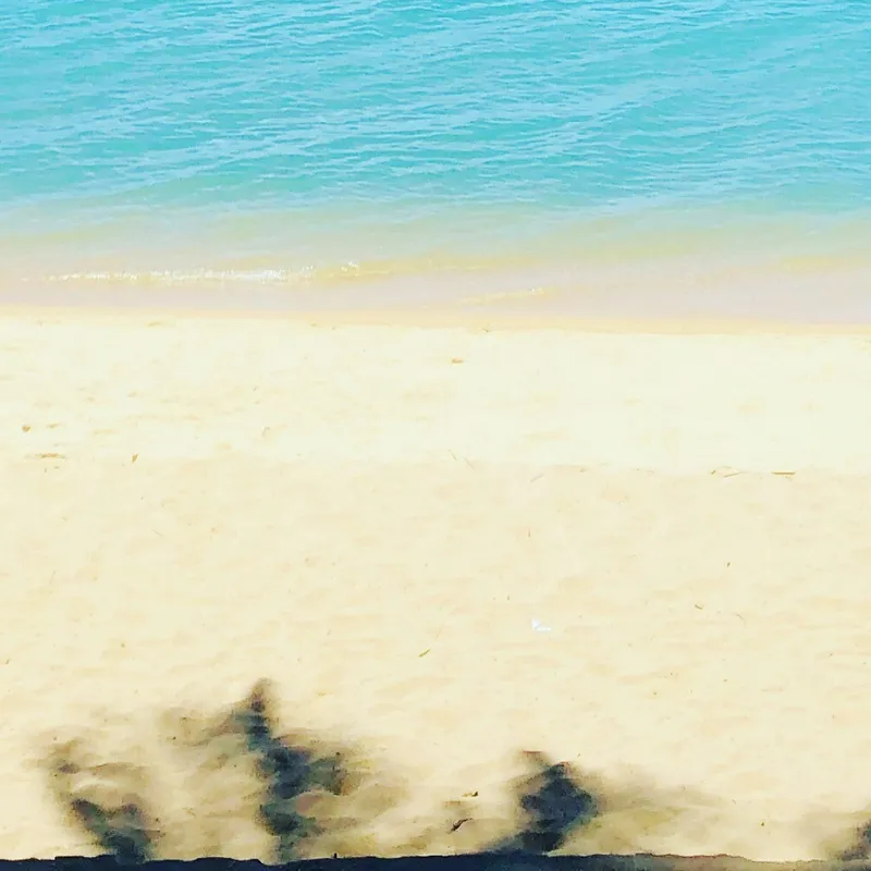 Test 8-image
