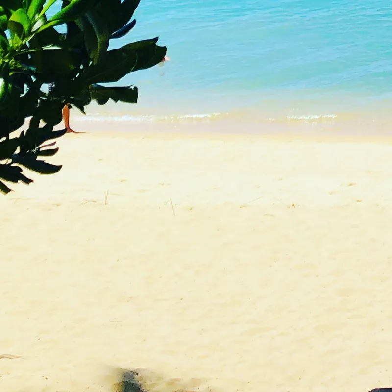 Test 7-image