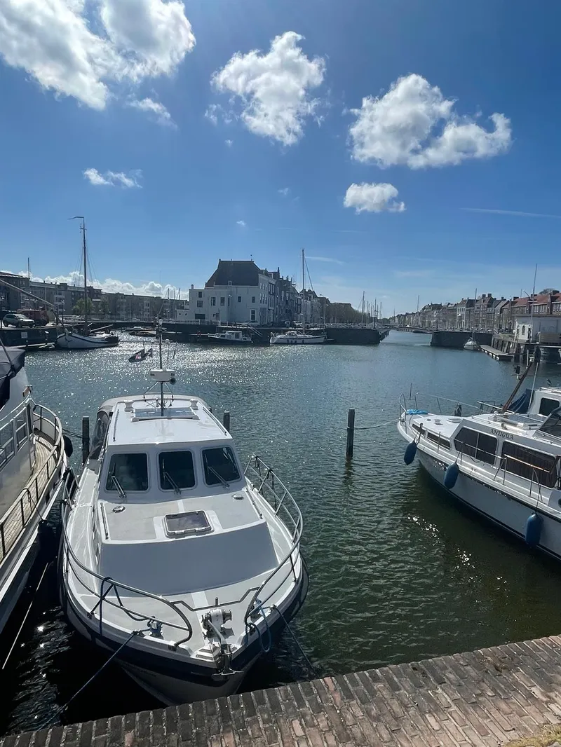 In de omgeving-image