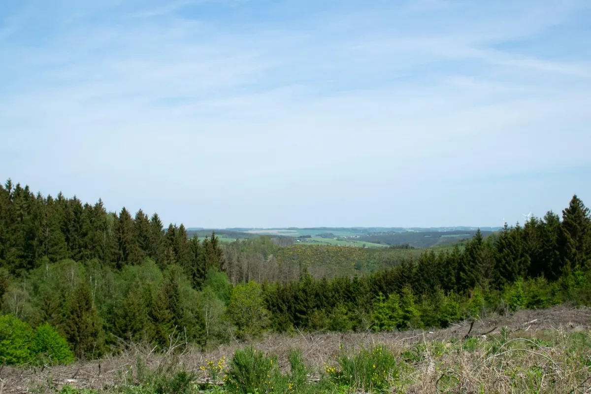 Natuurpark Haute-Sûre Forêt d’Anlier-image