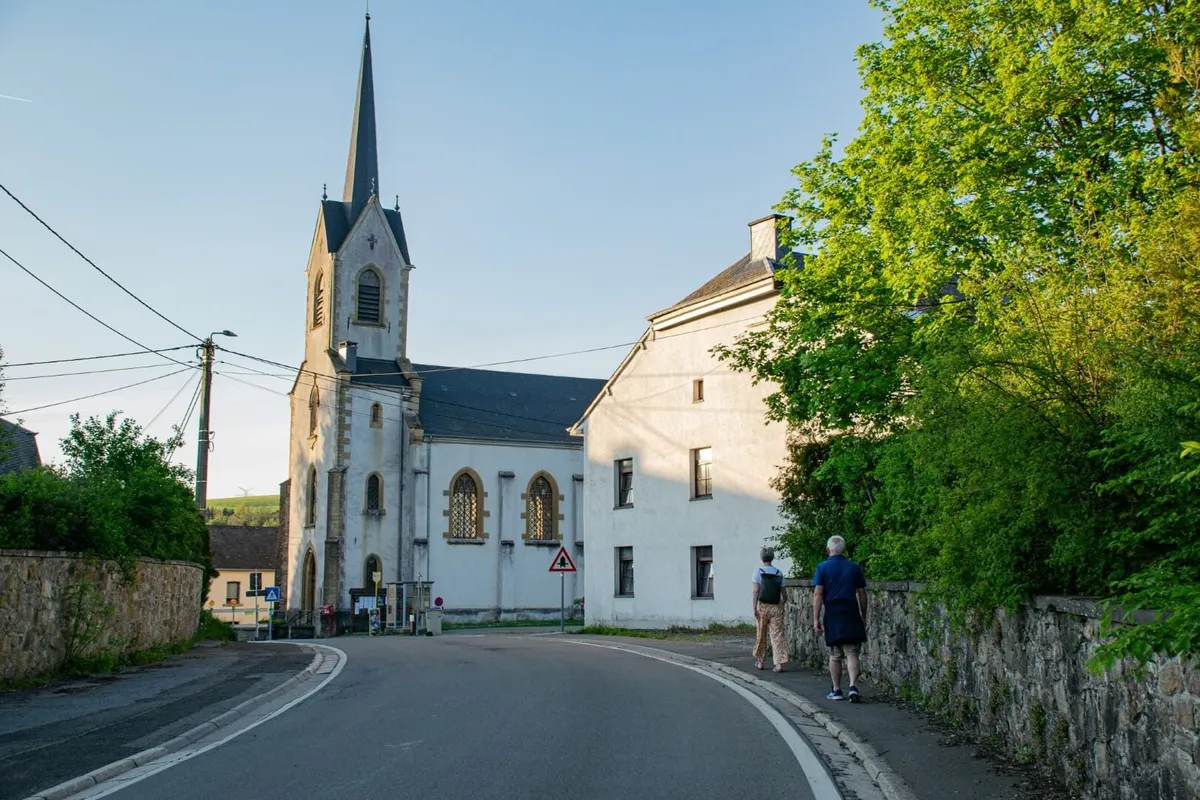 Wandelpaden in de Ardennen-image