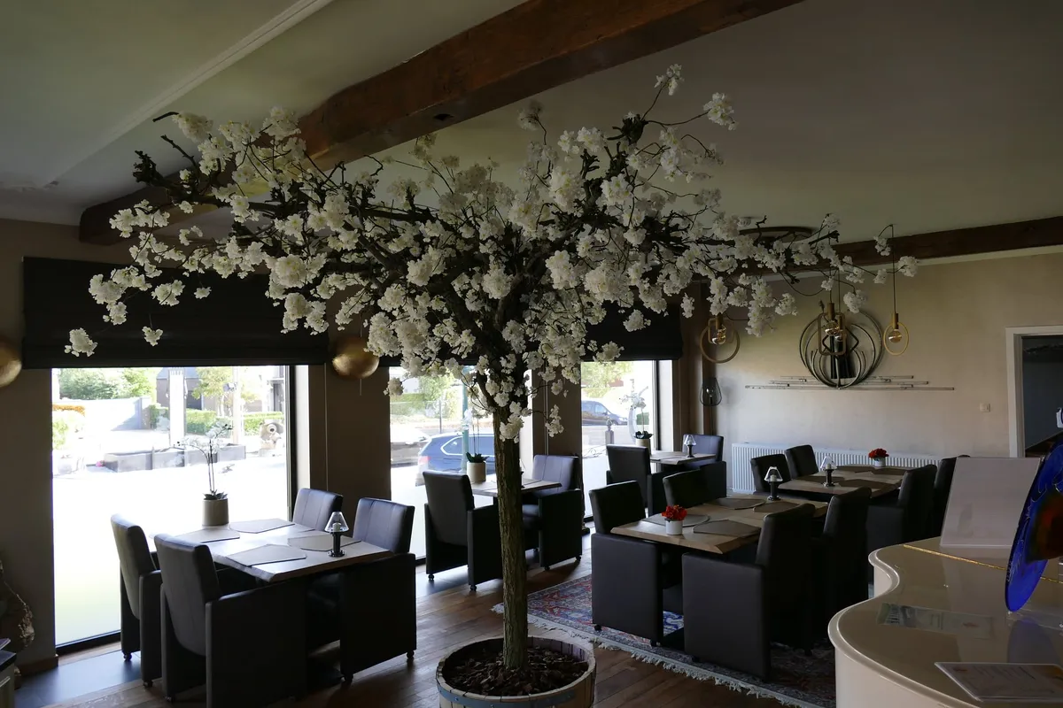               Restaurant Le Trésor-image