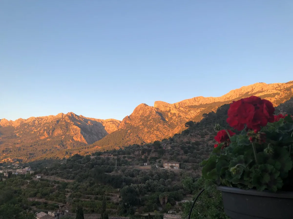 Whatsapp of iets te melden-image