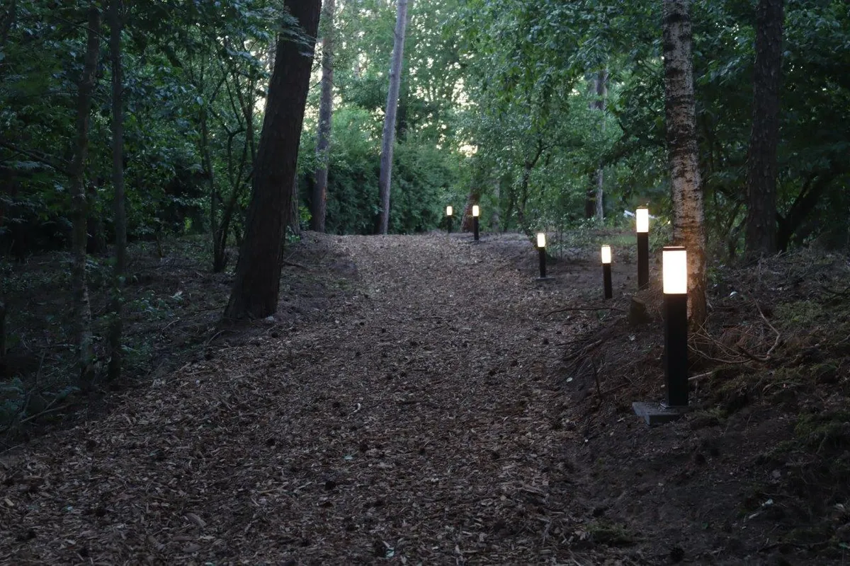 In de omgeving-image