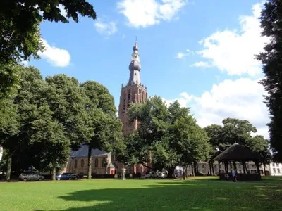 Tips in de omgeving-image