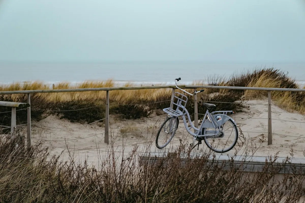          Fietsverhuur-image