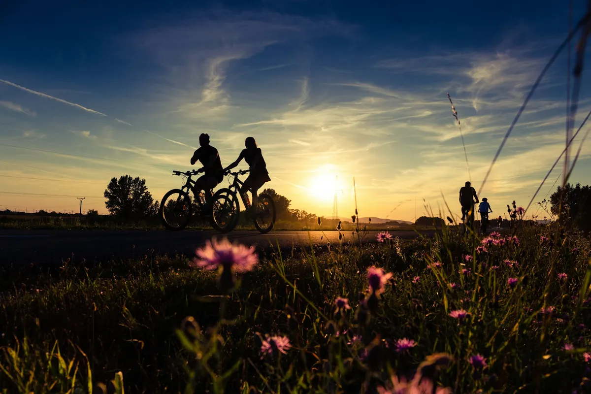     Fietsroutes-image