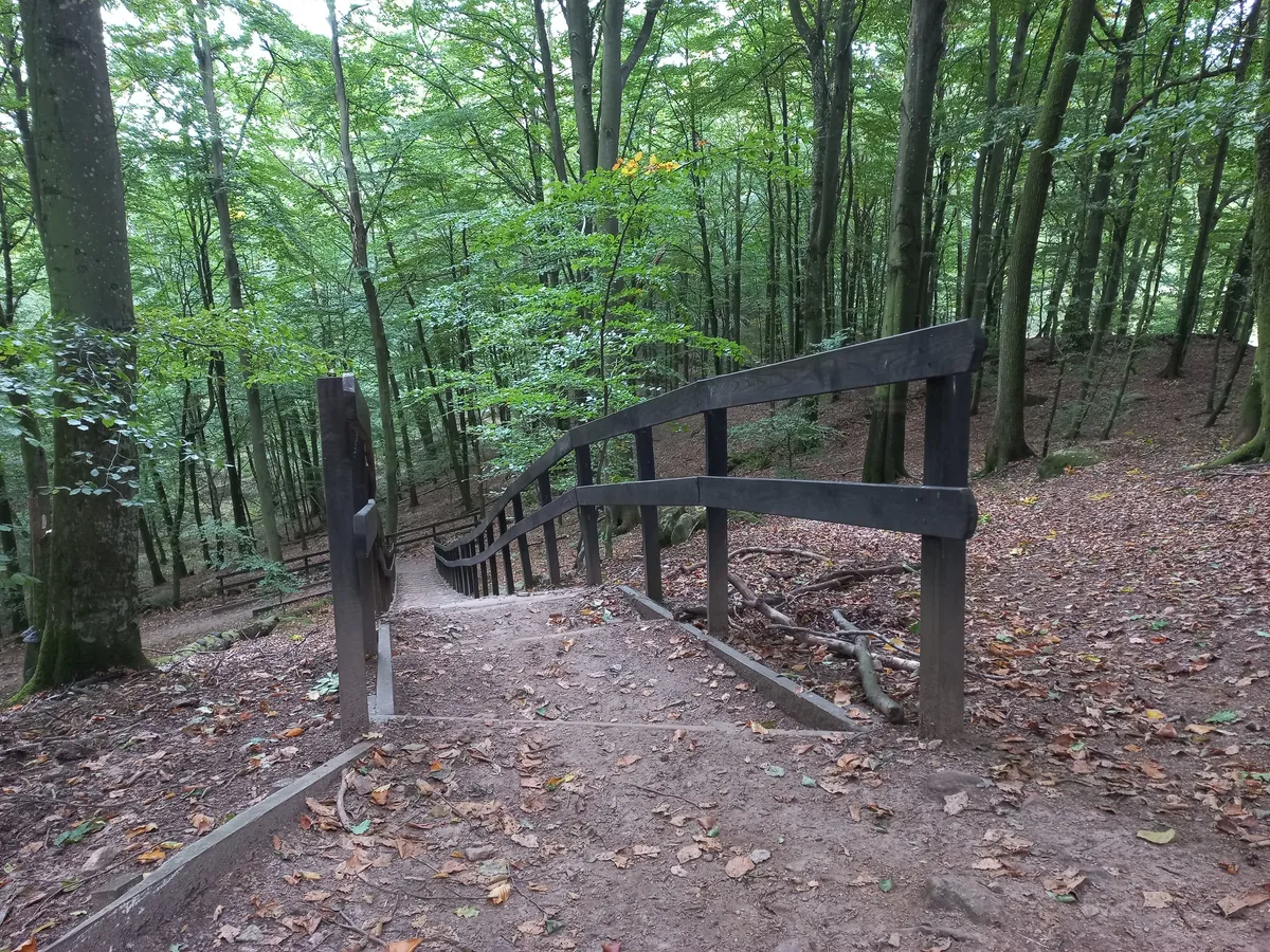Soderassen National Park-image