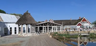 Restaurant Arild's Vineyard in Arild-image