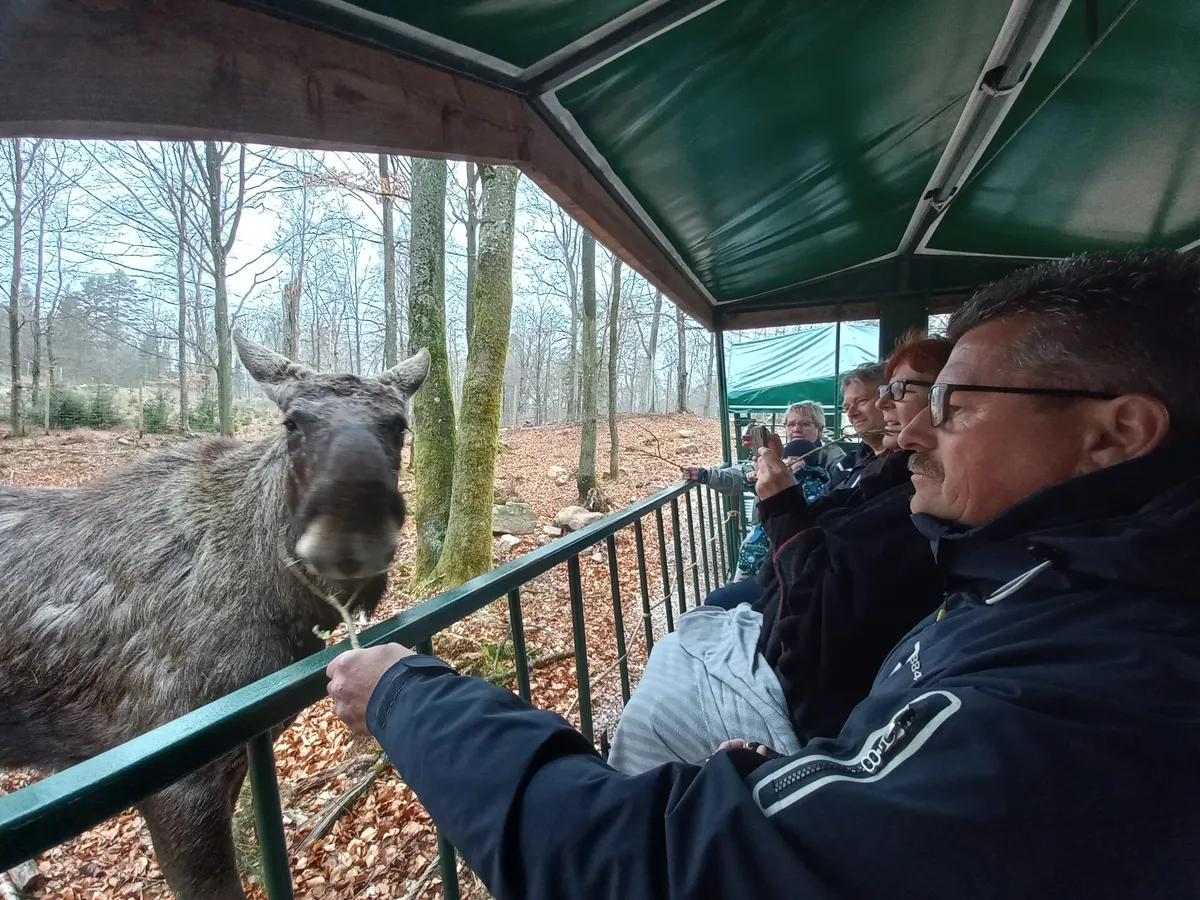 Söderåsen Moosepark-image