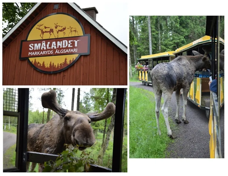 Smålandet, Drive In Elandenpark-image