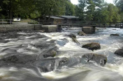 Mörrums kronolaxfiske-image