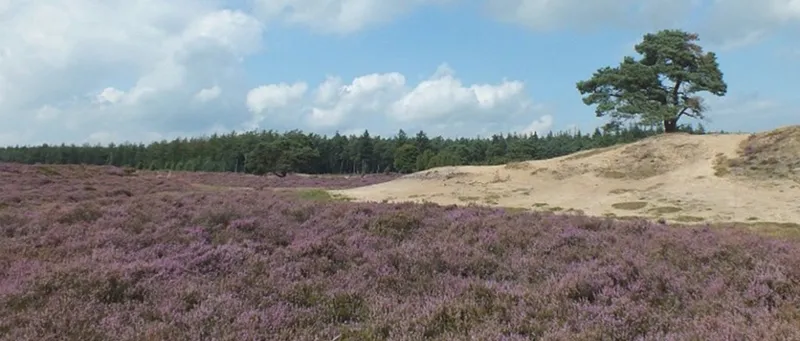 Ontdek de omgeving-image