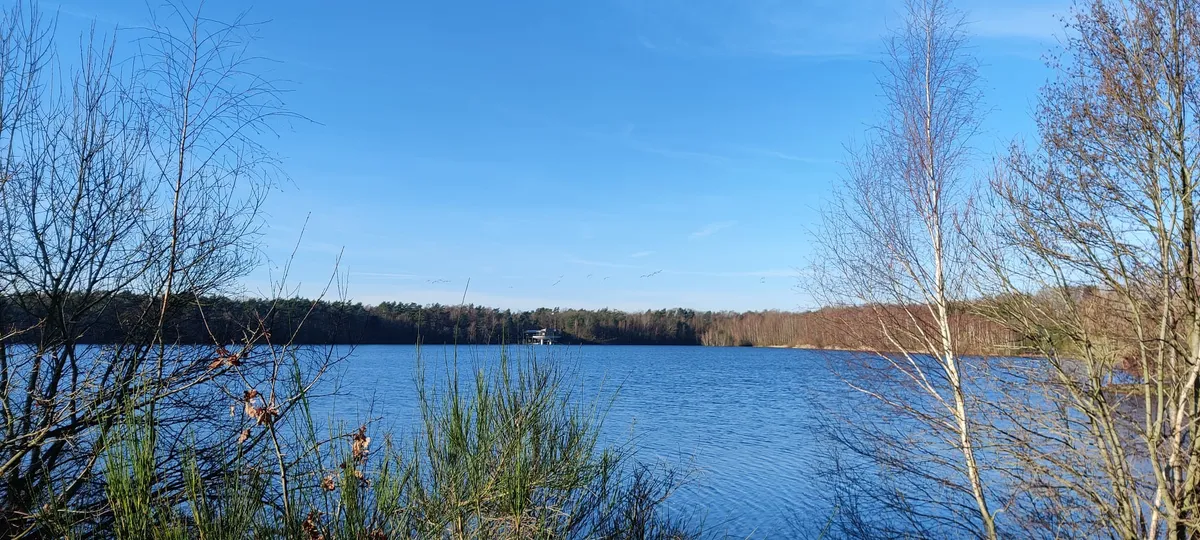 Gratis activiteiten-image