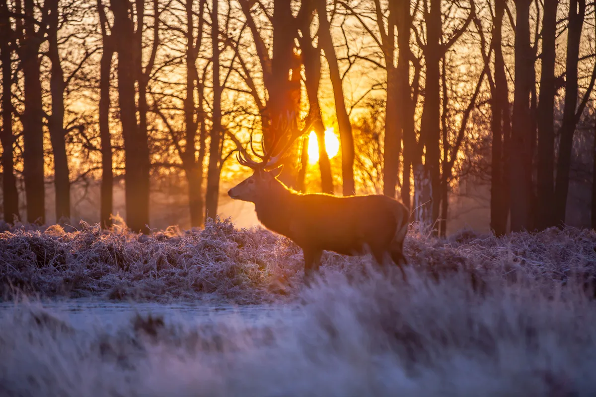 Beekbergen en omgeving-image