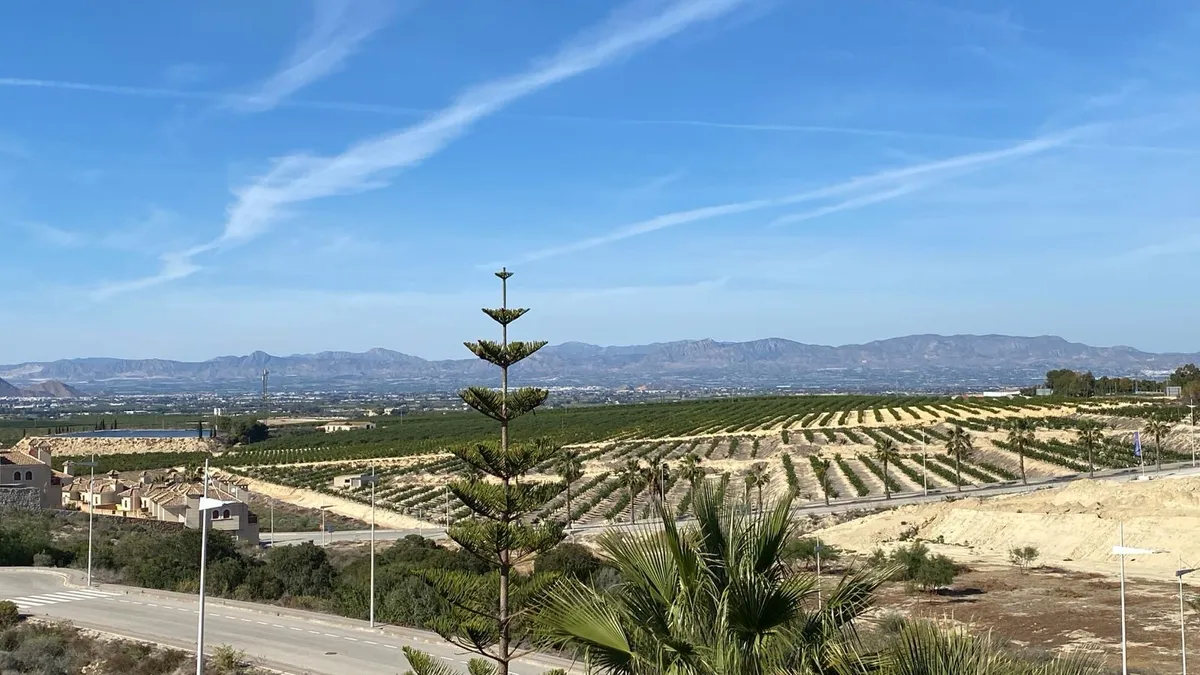 Algorfa en omgeving-image