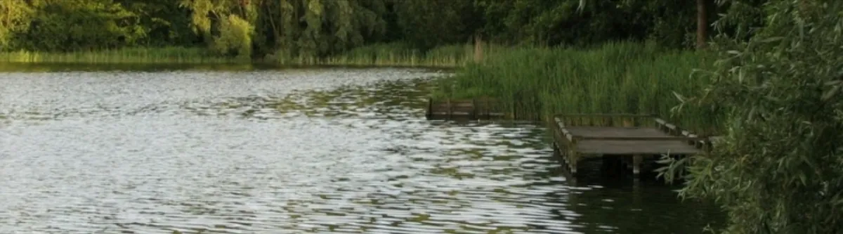 Vissen op de Stelleplas-image