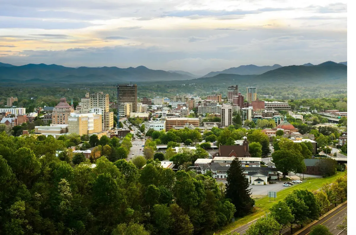 Bellflower Beheer info-image