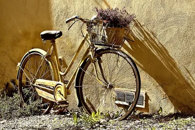 Fiets knooppunten-image