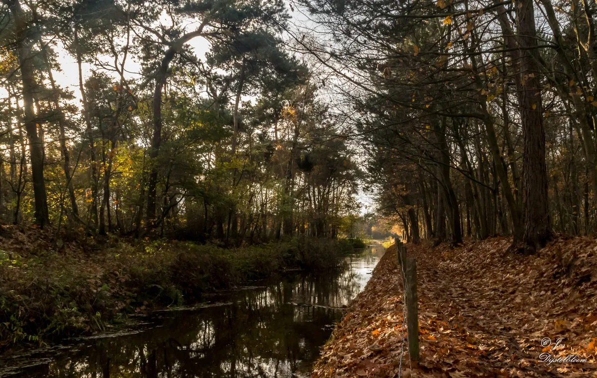Fietsroutes Aarle-Rixtel-image