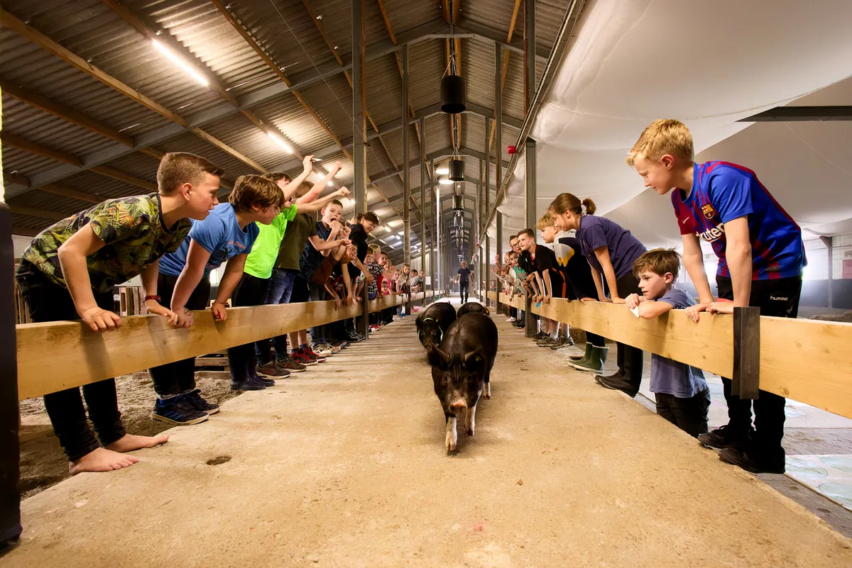 Activiteiten Speelhal-image