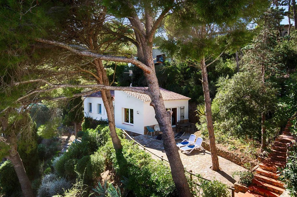 Casa Catalana-image
