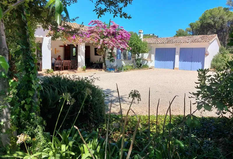 Finca Violeta-image
